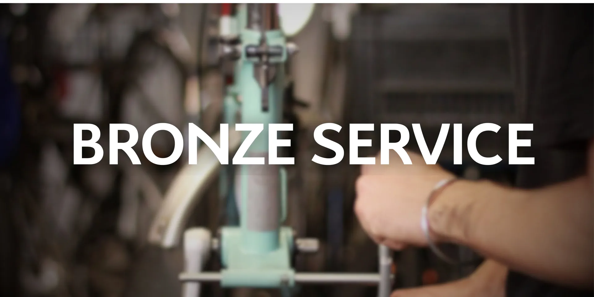 Bronze Service bicycle servicing
