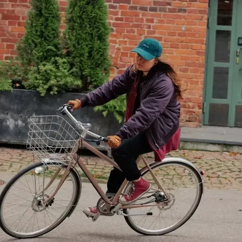 Pelago Airisto Commuter Bike in Pearl Rosa-3